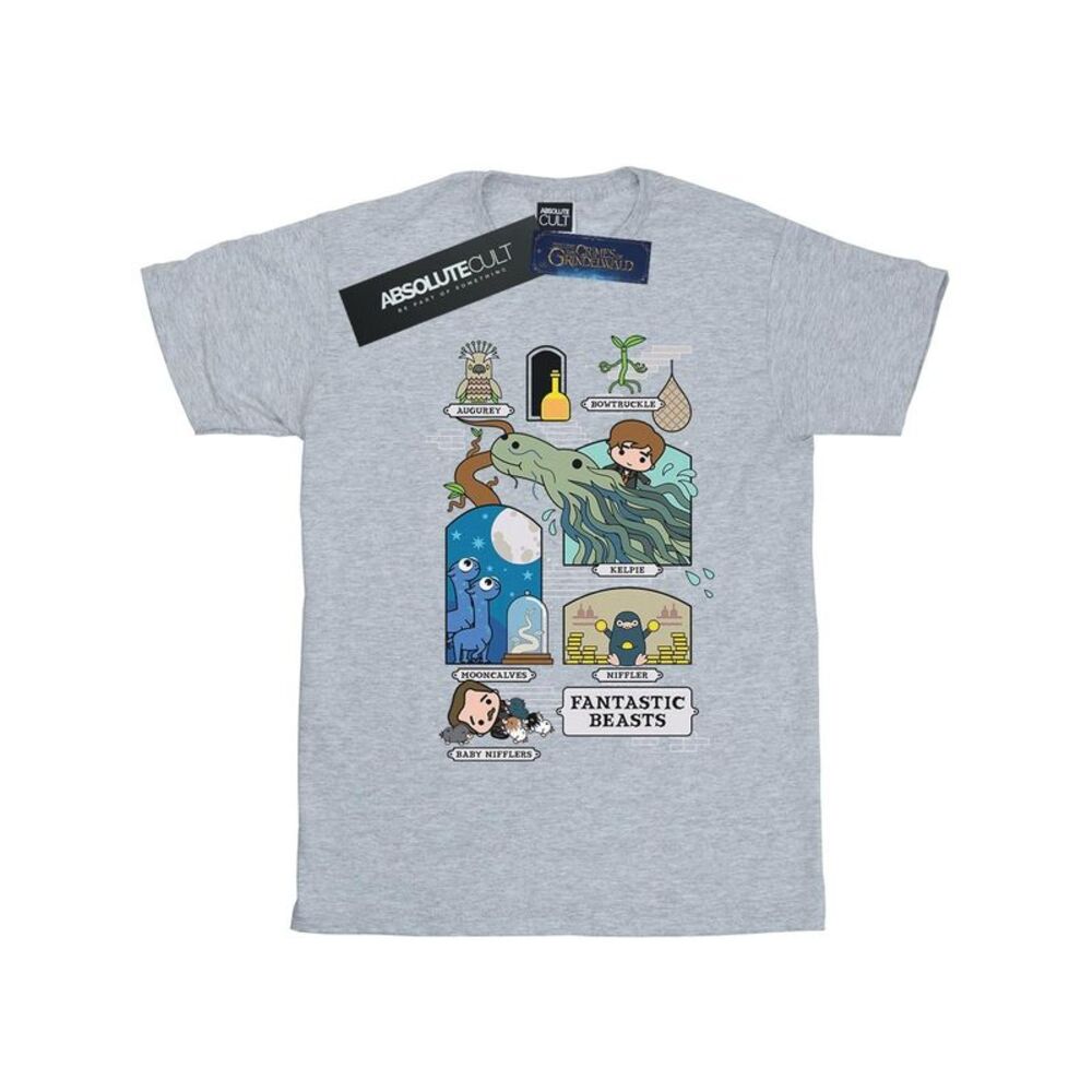 Fantastic Beasts Mens Chibi Newt T-Shirt / Sports Grey